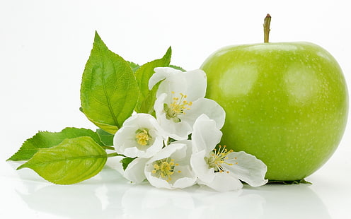 fruta maçã verde, maçã, flores, verde, HD papel de parede HD wallpaper