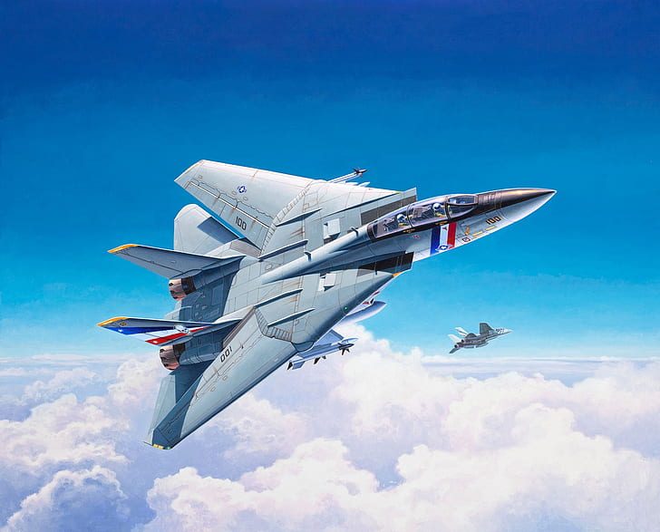 Fighter, F-14, Grumman F-14, Grumman F-14 Tomcat, US NAVY, Fighter-interceptor, VF-2 Bounty Hunters, Grumman F-14D Super Tomcat, HD wallpaper