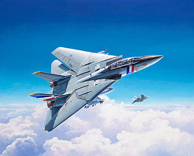 Fighter, F-14, Grumman F-14, Grumman F-14 Tomcat, US NAVY, Fighter-interceptor, Pemburu Bayaran VF-2, Grumman F-14D Super Tomcat, Wallpaper HD HD wallpaper