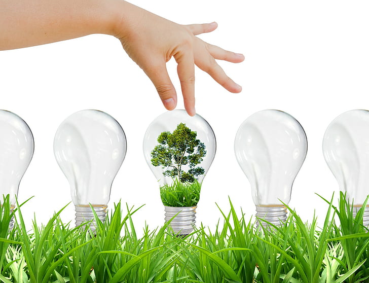 електрическа крушка, технология, трева, ръце, дизайн, дървета, електрическа крушка, технология, трева, ръце, дизайн, дървета, HD тапет