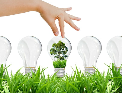 light bulb, technology, grass,hands, design, trees, light bulb, technology, grass, hands, design, trees, HD wallpaper HD wallpaper