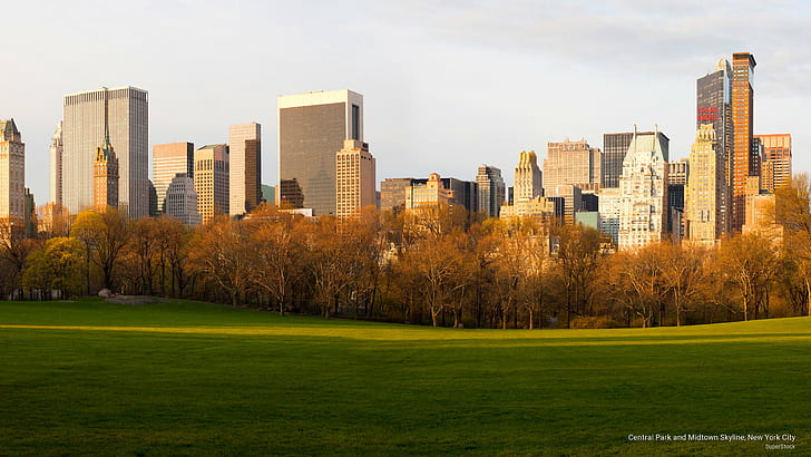 Central Park dan Midtown Skyline, New York City, Arsitektur, Wallpaper HD