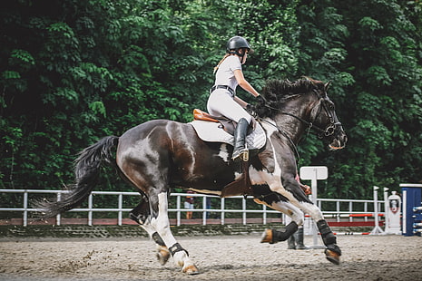 кон, конна езда, галоп, жени, HD тапет HD wallpaper