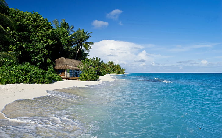 Kuramathi, Малдиви, водно тяло, Kuramathi, Малдиви, тропически, море, плаж, пясък, палми, хижи, HD тапет