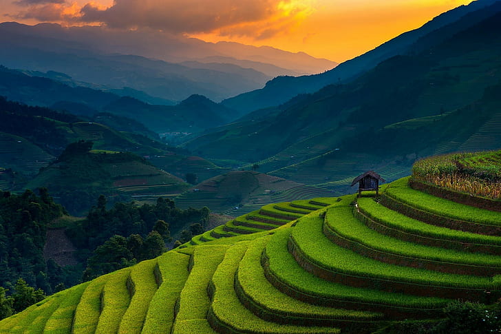 المناظر الطبيعية الطبيعة الأرز الأرز المصاطب جبل الغروب حقل الأشجار ضباب كوخ أخضر فيتنام ضوء الشمس، خلفية HD