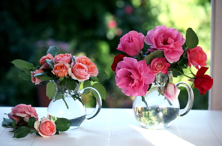 pengaturan bunga merah muda dan merah, mawar, bunga, karangan bunga, pot, jendela, Wallpaper HD