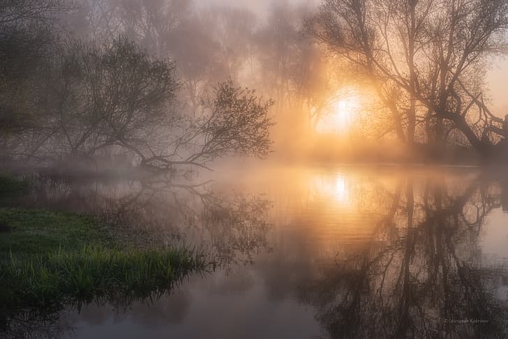 Александър Кукринов, пейзаж, блато, природа, мъгла, залез, дървета, клон, вода, отражение, HD тапет