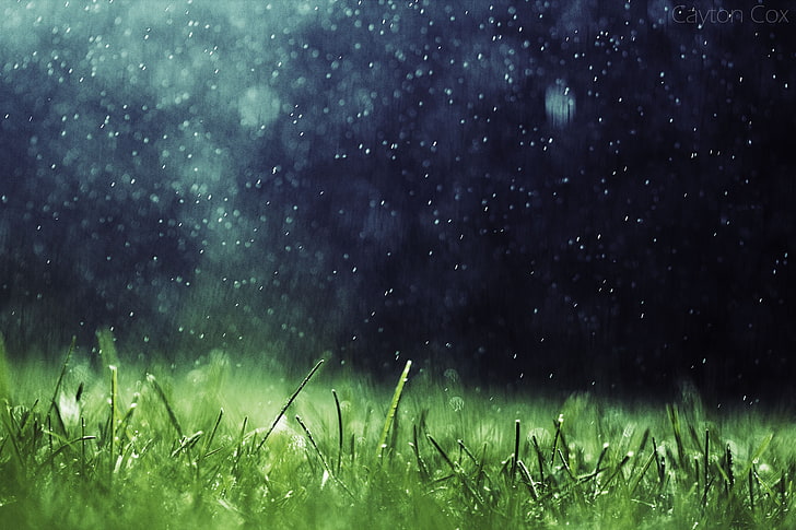 erba verde, opera d'arte, natura, pioggia, erba, Sfondo HD