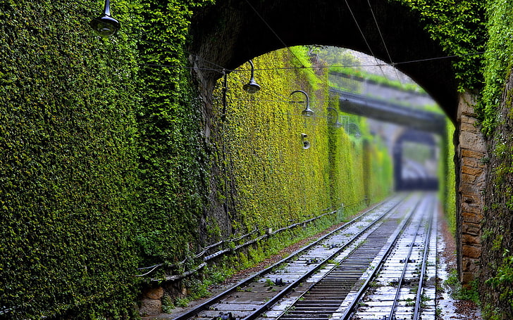 fotografi, kereta api, terowongan, hijau, tanaman, lampu, kedalaman bidang, Wallpaper HD