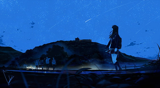 женски аниме герой, който се разхожда близо до мъже по време на нощна илюстрация, небе, звезди, HD тапет HD wallpaper
