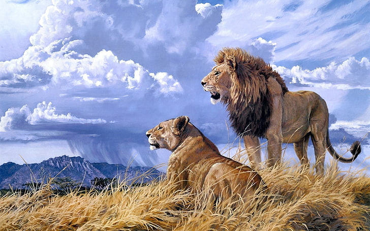 león y leona, león, animales, obras de arte, naturaleza, grandes felinos, nubes, montañas, cielo, lluvia, Fondo de pantalla HD