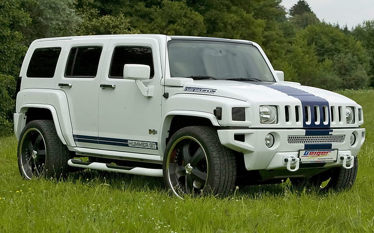Hummer H3, picture, 2012, truck, cars, HD wallpaper