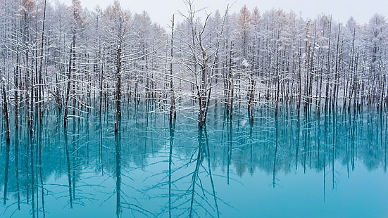 árboles blancos, lago, árboles, naturaleza, turquesa, agua, nieve, reflexión, invierno, Japón, paisaje, frío, niebla, bosque, cian, Fondo de pantalla HD HD wallpaper