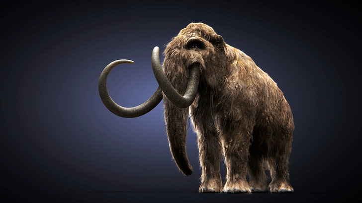 mammoth, HD wallpaper