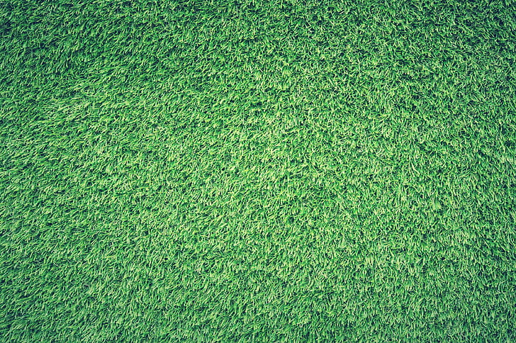 campo, grama, verde, gramado, textura, HD papel de parede