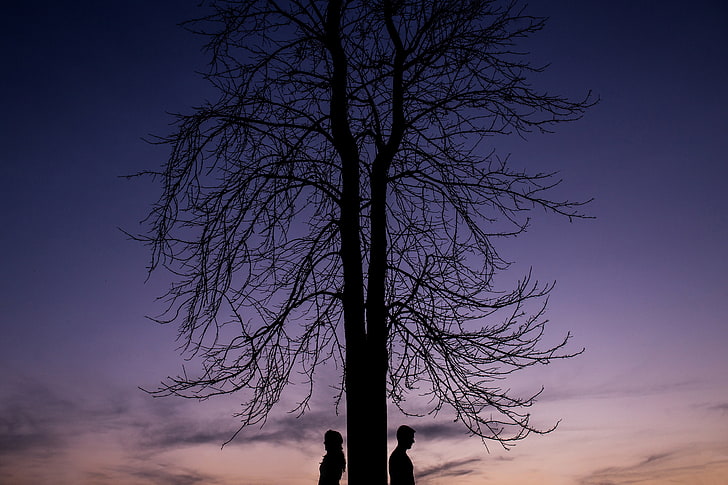 silhouette of tree and two person, couple, silhouettes, tree, HD wallpaper