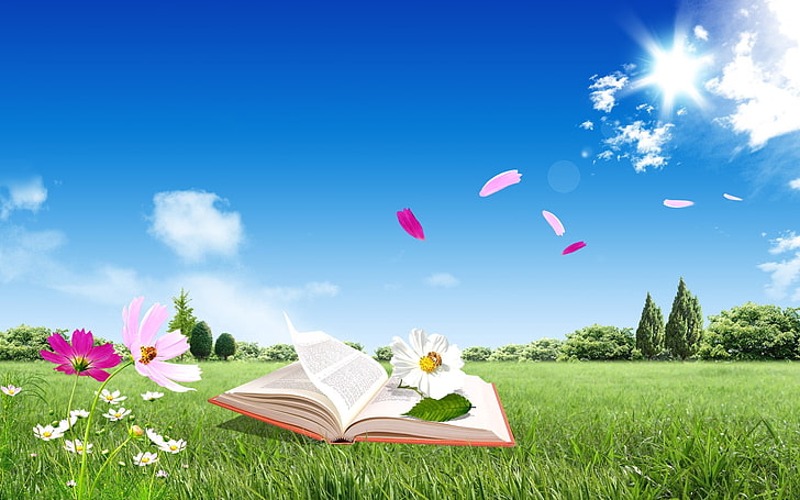 หนังสือและดอกไม้ดิจิตอลวอลล์เปเปอร์, หนังสือ, ฟิลด์, ดอกไม้, บิน, ท้องฟ้า, ธรรมชาติ, อารมณ์, วอลล์เปเปอร์ HD