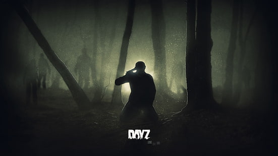 Dayz Trees Suicide Creepy HD, ilustração doy do jogo, videogames, árvores, assustador, dayz, suicídio, HD papel de parede HD wallpaper