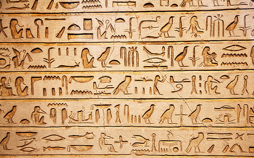 banyak logo cokelat, dinding, hieroglif, Mesir, artinya, Wallpaper HD HD wallpaper