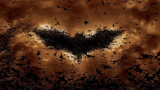 стая летучих мышей, создающих логотип Бэтмена на небе цифровые обои, Бэтмен, летучие мыши, фильмы, логотип Бэтмена, HD обои HD wallpaper