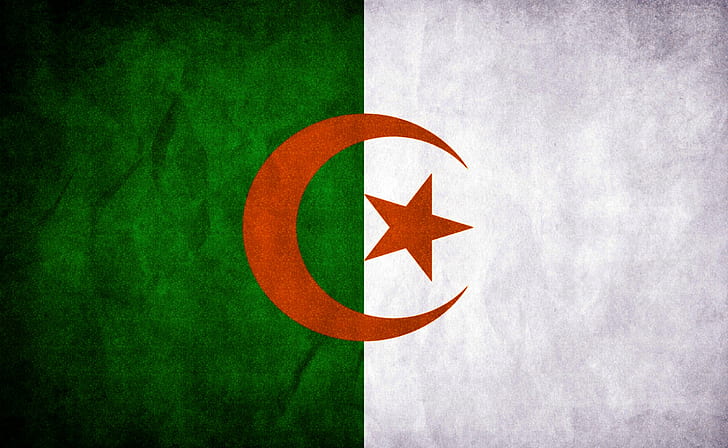Algeriet flagga, konstnärlig, Grunge, flagga, dz, algeriet, HD tapet