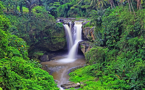 Tropikalny wodospad Tegenungan wodospad Ubud indonezja las tropikalny palmy skała zielona roślinność tapeta hd na pulpit Pc tablet i telefon komórkowy 2560 × 1600, Tapety HD HD wallpaper
