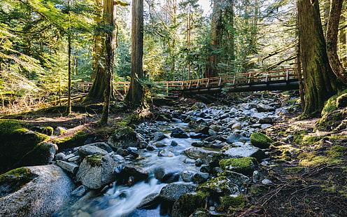 river near green leaved tress during daytime, Time Of Need, river, green, tress, daytime, nature, trees, forest, bridge, stream, Deception, Falls, Pacific Northwest, Canon EOS 5D Mark III, Canon EF, 35mm, 4L, washington, tree, landscape, outdoors, scenics, water, woodland, moss, green Color, waterfall, rock - Object, HD wallpaper HD wallpaper