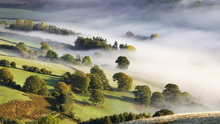 mountains landscapes nature trees fields valley fog mist wales national park countryside 1920x108 Nature Fields HD Art , mountains, Landscapes, HD wallpaper