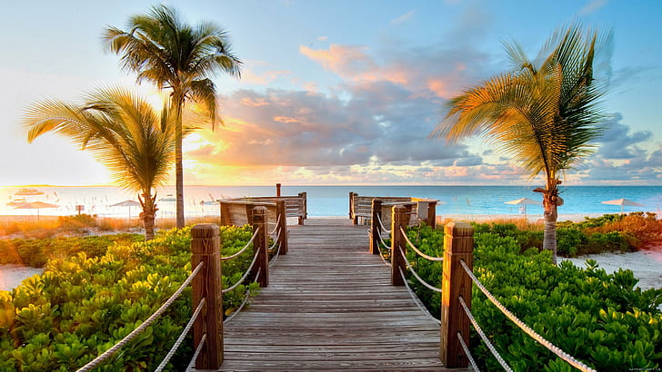 Ramp access to the beach, brown wooden pathway toward ocean, landscape, palm, sea, beach, cloud, sunset, HD wallpaper