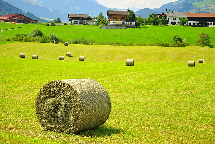 Австрия, поле, сено, къща, пейзаж, HD тапет
