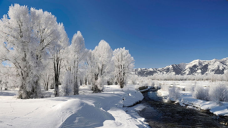 invierno, naturaleza, nieve, paisaje, HD обои