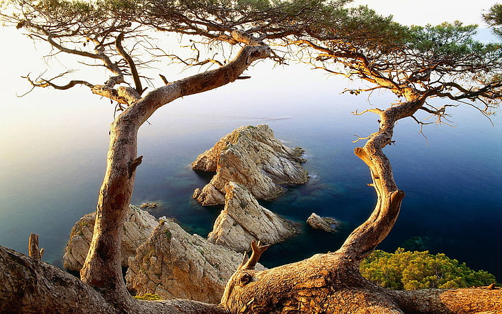 ocean i szare skały, krajobraz skalistego brzegu w ciągu dnia, krajobraz, natura, drzewa, morze, skała, woda, rośliny, niebieski, Hiszpania, wybrzeże, Tapety HD