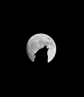 волк и полная луна, полная луна, волк, вой, чб, HD обои HD wallpaper