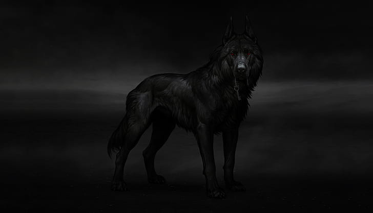 Zwierzęta fantasy, wilk, zwierzę, Tapety HD