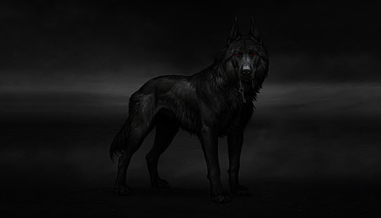 Zwierzęta fantasy, wilk, zwierzę, Tapety HD HD wallpaper
