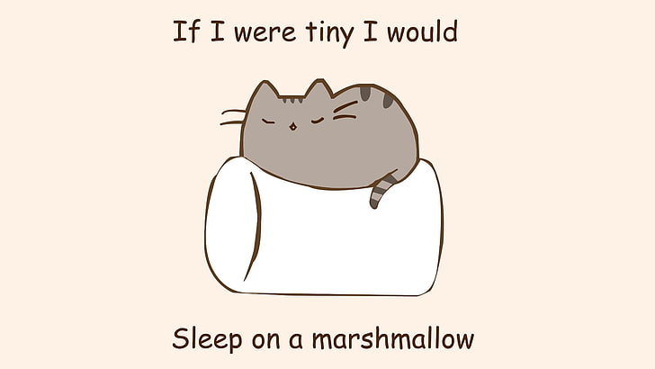 gray cat cartoon, humor, marshmallows, quote, cat, pusheen, artwork, HD wallpaper