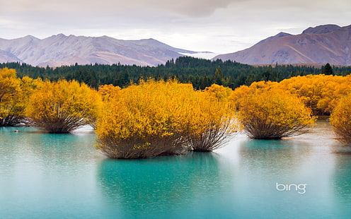 New Zealand Glacier lake-Fond d'écran Bing 2016, Fond d'écran HD HD wallpaper