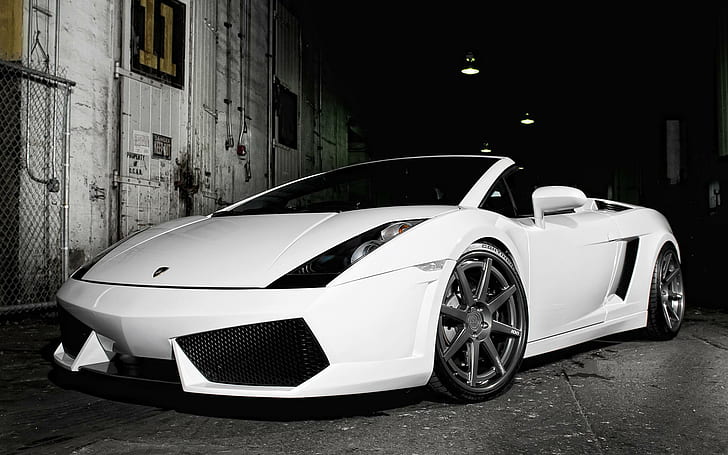 Lamborghini Gallardo Roadster, branco lamborghini gallardo roadster, roadster, lamborghini, gallardo, carros, HD papel de parede