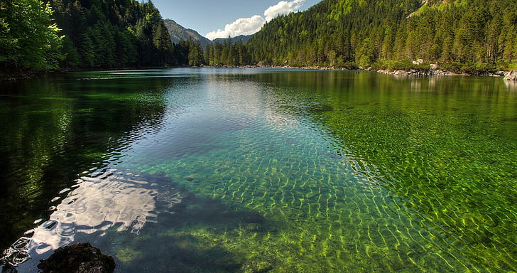 austria, bosque, lago, naturaleza, Wallpaper HD