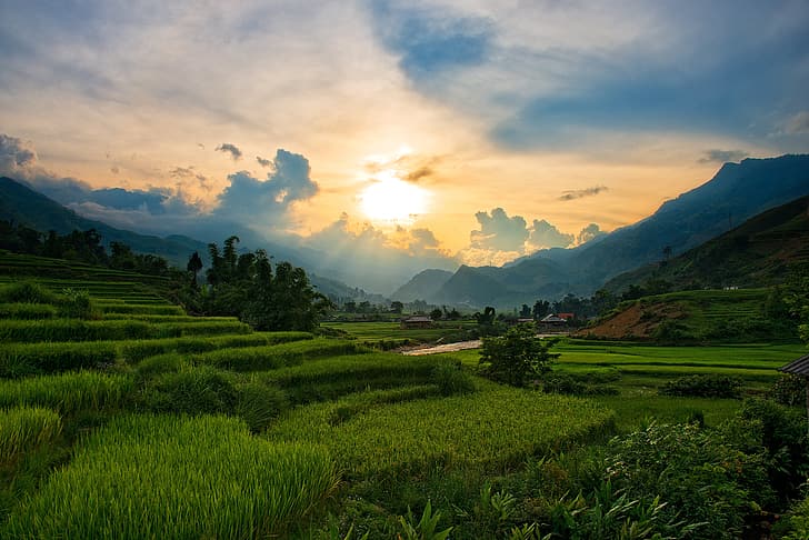 puesta de sol, montañas, laderas, la tarde, Vietnam, Sapa, arroz, Fondo de pantalla HD
