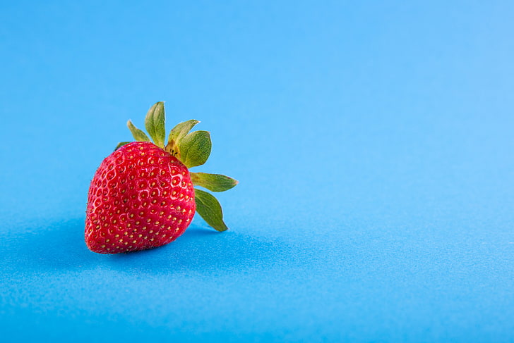 strawberry fruit, strawberry, berry, blue background, HD wallpaper