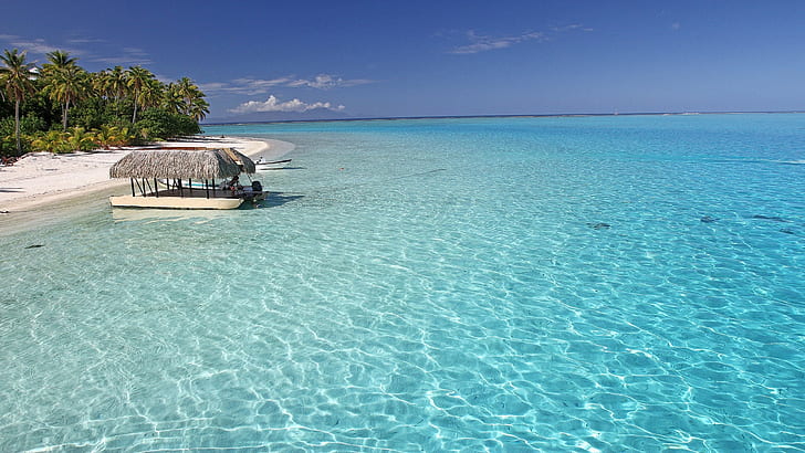 Perfect Aqua Blue Sea Off Bora Bora Tropical Paradise Isl Tahiti Desktop Background 492106, วอลล์เปเปอร์ HD