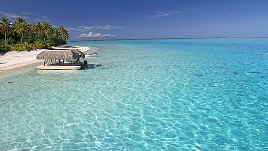 Perfect Aqua Blue Sea Off Bora Bora Tropical Paradise Isl Tahiti Desktop Background 492106, วอลล์เปเปอร์ HD HD wallpaper