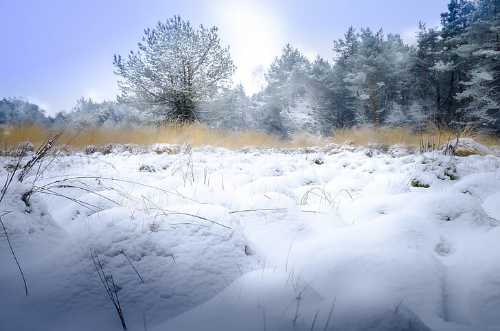 winter, snow, landscape, nature, ice, HD wallpaper