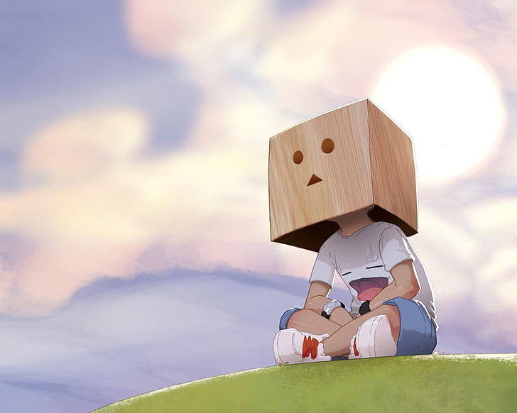 person sitting on field wearing cardboard mask illustration, box, figure, boy, HD wallpaper