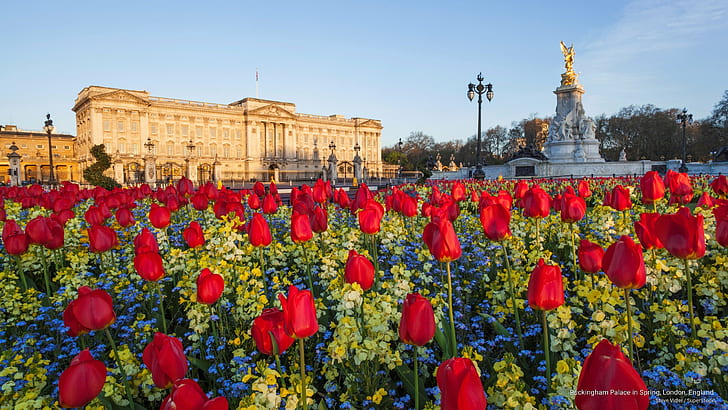 Pałac Buckingham wiosną, Londyn, Anglia, zabytki, Tapety HD