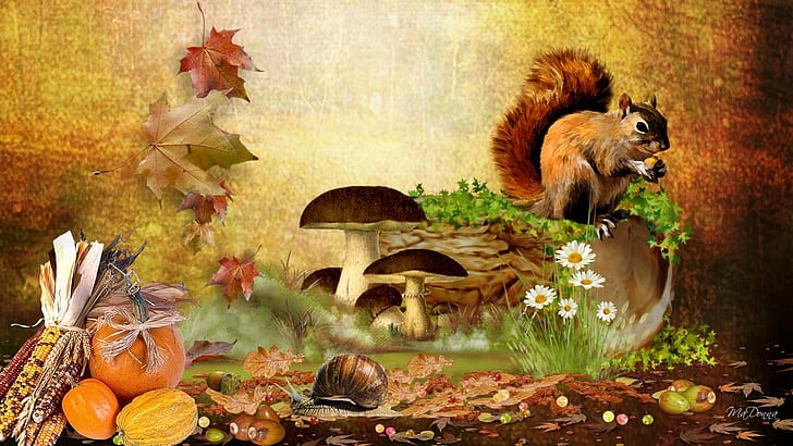 Bounty Falls, tupai coklat, jamur coklat dan lukisan labu oranye, panen, musim gugur, aneh, bunga, aster, labu, apel, jagung India, kacang-kacangan, bangku katak, Wallpaper HD