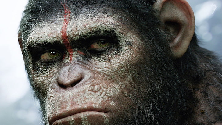 czarny goryl, Planeta małp, filmy, dzieła sztuki, science fiction, Ewolucja planety małp, Tapety HD