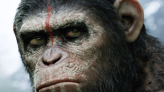 gorilla nera, Il pianeta delle scimmie, film, opere d'arte, fantascienza, Alba del pianeta delle scimmie, Sfondo HD HD wallpaper