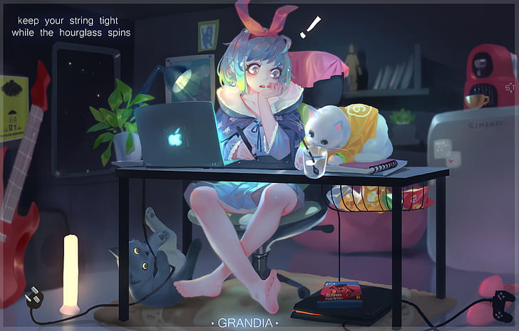 gadis anime, anime, kucing, Wallpaper HD